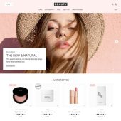 Shopify Themes